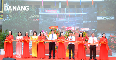 cat-bang-khanh-thanh-truong-tieu-hoc-ly-tu-trong